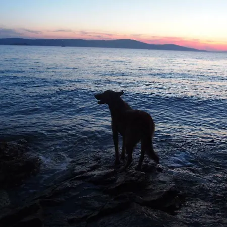 בית נופש Robinson House Kata מילנה