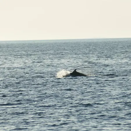 Robinson House Kata * מילנה