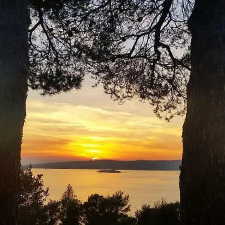 Robinson House Kata מילנה